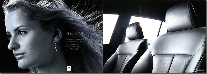 2012N11s KVB Premium Leather Selection(3)